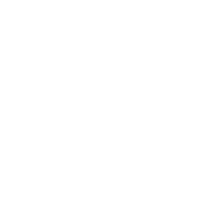 16956054017122gyg0o